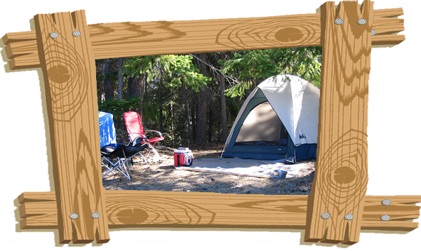 Daily / Weekly Rental Site